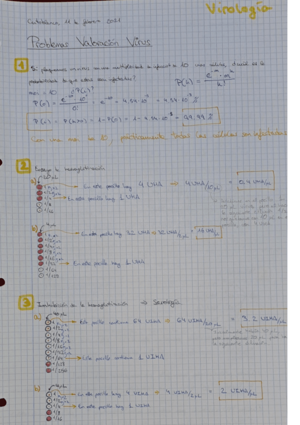 Miniatura del documento Valoracion-de-virus.pdf