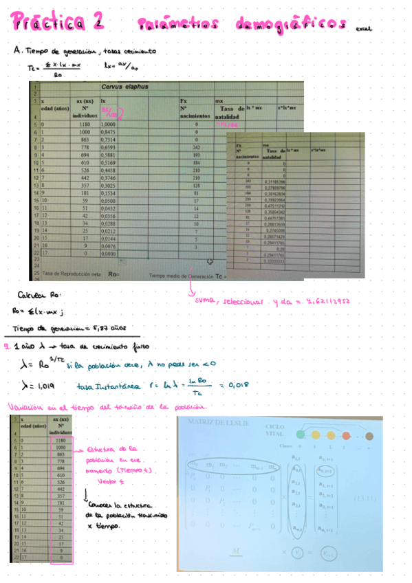 Miniatura del documento Practica-2.pdf