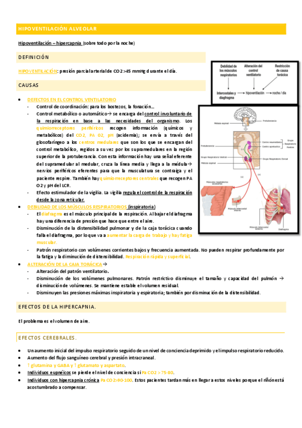 Miniatura del documento HIPOVENTILACION-ALVEOLAR.pdf