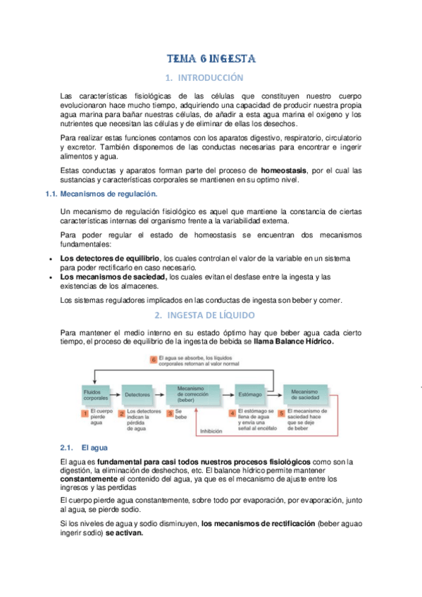 Miniatura del documento Tema-6-INGESTA-2.pdf