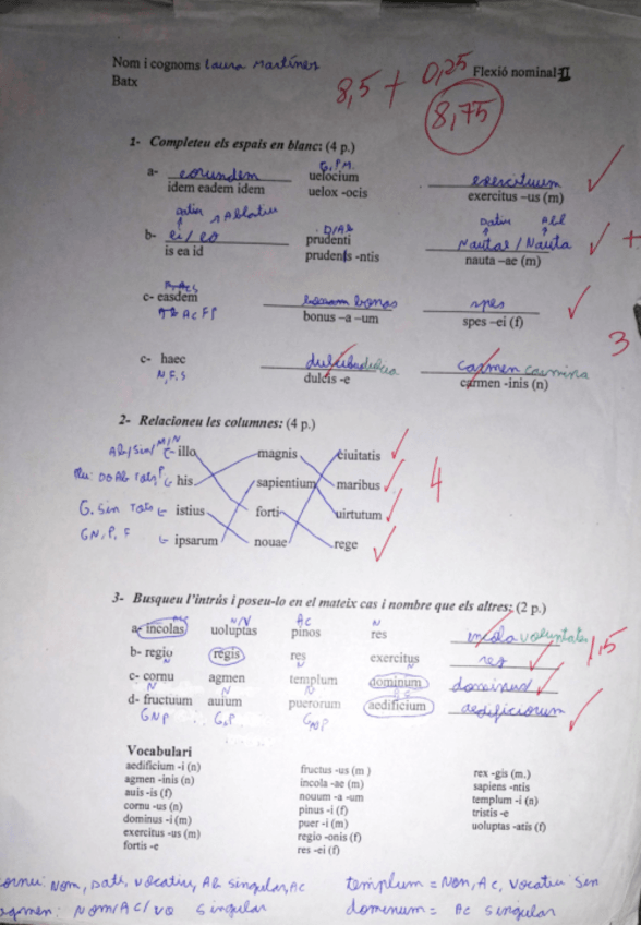 Miniatura del documento examen-flexio-nominal.pdf