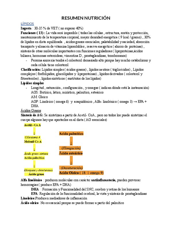 Miniatura del documento Nutricion-Resumen.pdf