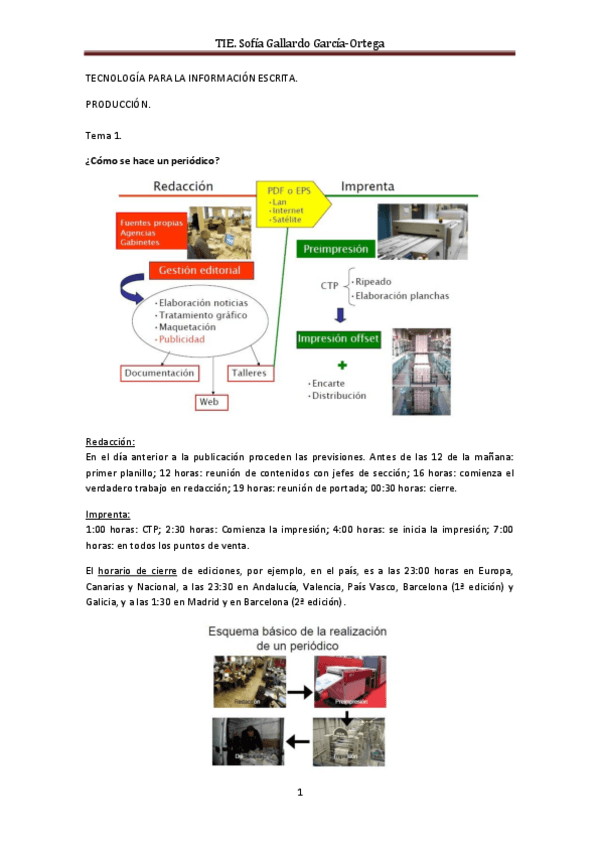 Miniatura del documento TIE.pdf