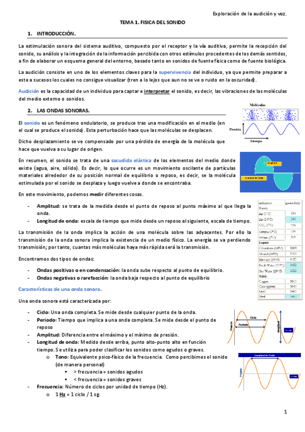 Miniatura del documento todo-audicion-voz.pdf