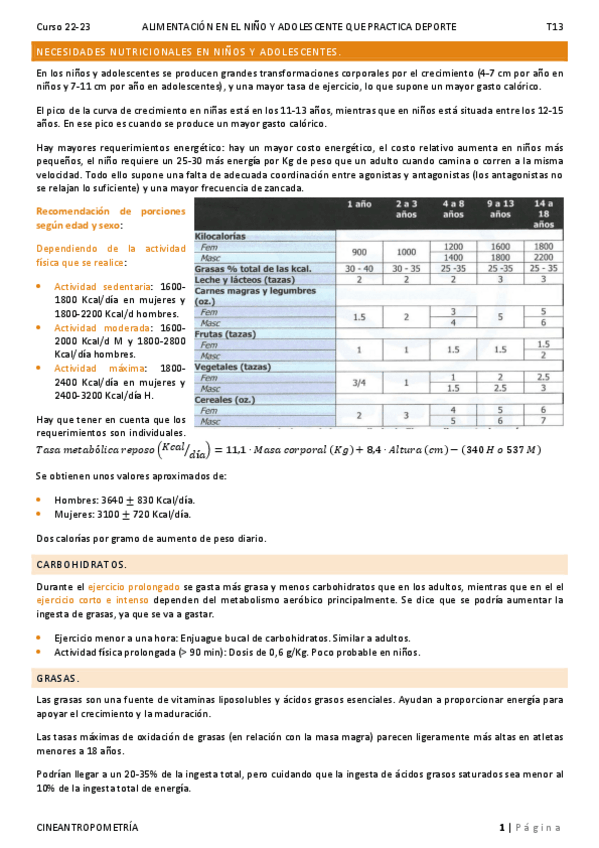 Miniatura del documento T13.pdf