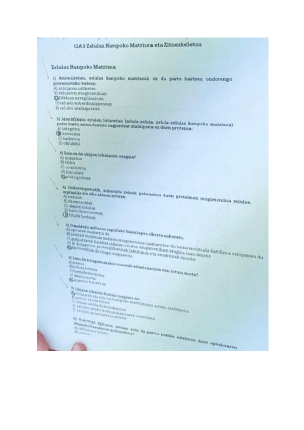 Miniatura del documento GA3.pdf