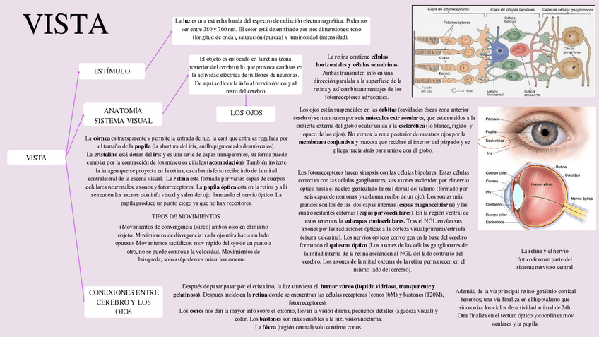 Miniatura del documento VISTA.pdf