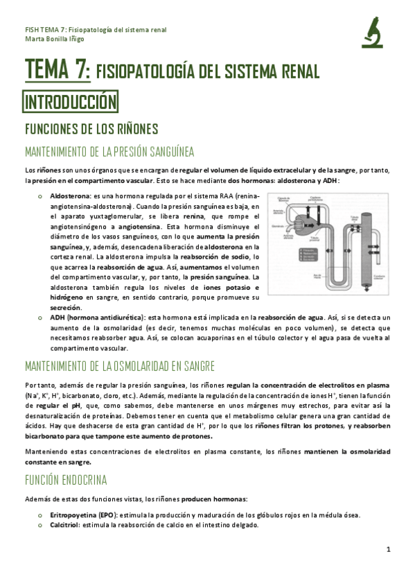 Miniatura del documento FISH-TEMA-7-FISIOPATOLOGIA-DEL-SISTEMA-RENAL.pdf