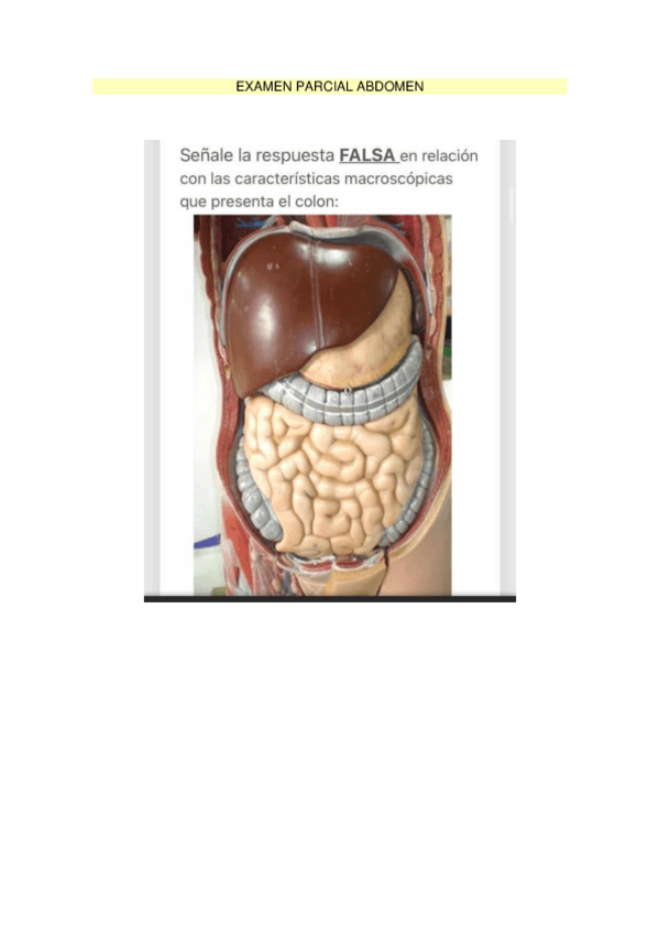 Miniatura del documento EXAMEN-PARCIAL-ABDOMEN.pdf