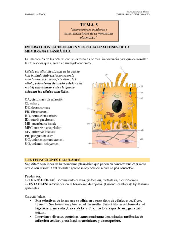 Miniatura del documento TEMA-5.pdf