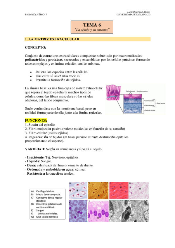 Miniatura del documento TEMA-6.pdf