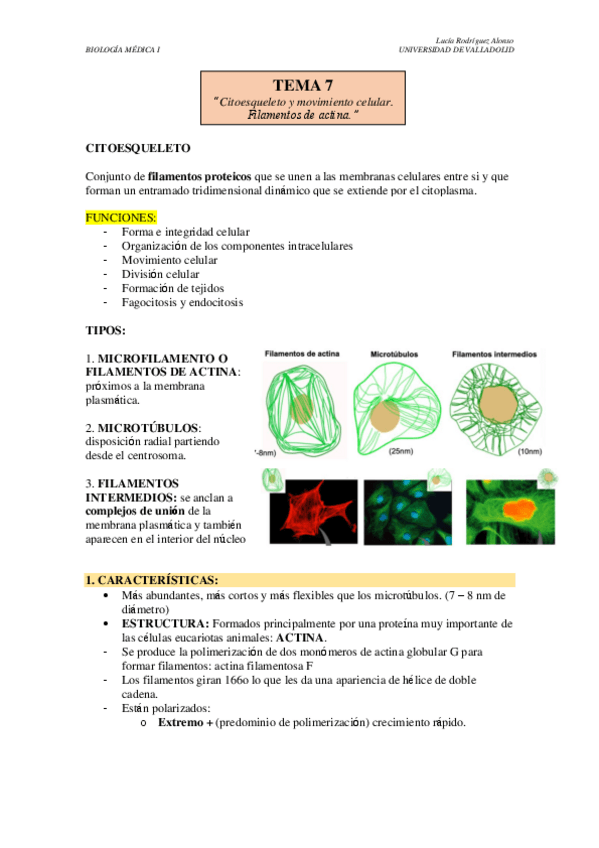 Miniatura del documento TEMA-7.pdf