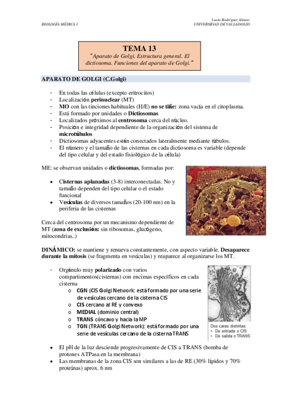 Miniatura del documento TEMA-13.pdf