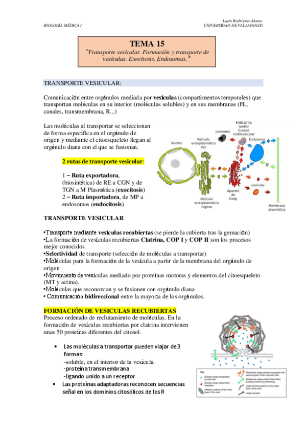 Miniatura del documento TEMA-15.pdf