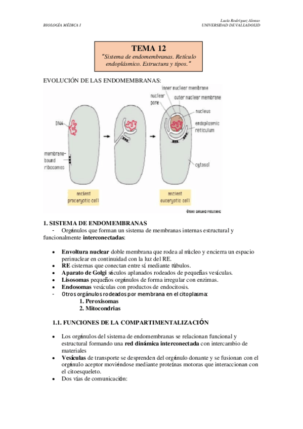Miniatura del documento TEMA-12.pdf