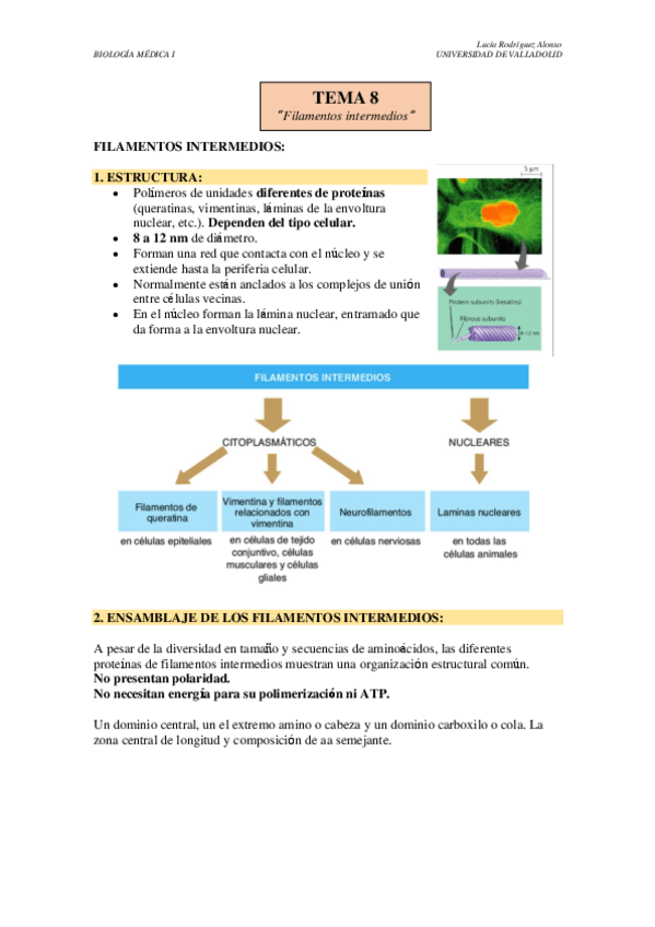 Miniatura del documento TEMA-8-Y-9.pdf