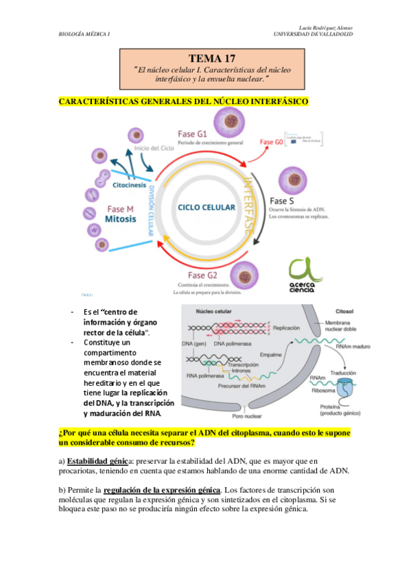 Miniatura del documento TEMA-17.pdf