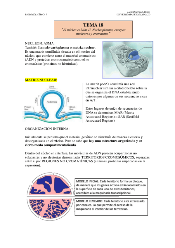 Miniatura del documento TEMA-18.pdf