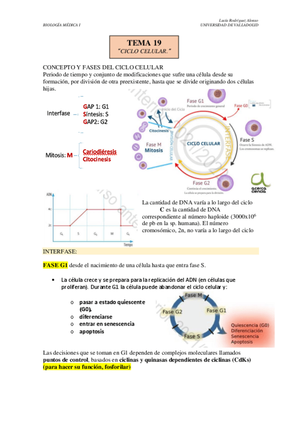 Miniatura del documento TEMA-19.pdf