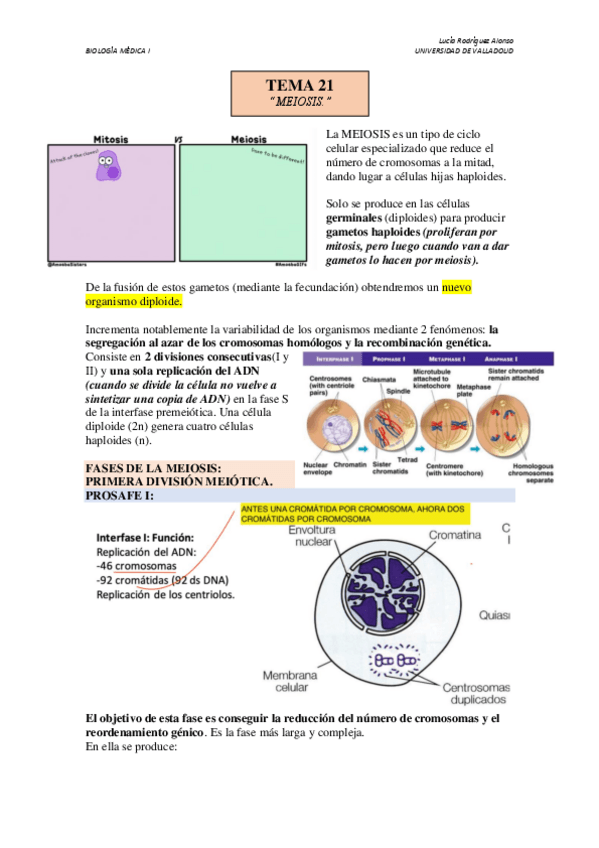Miniatura del documento TEMA-21.pdf
