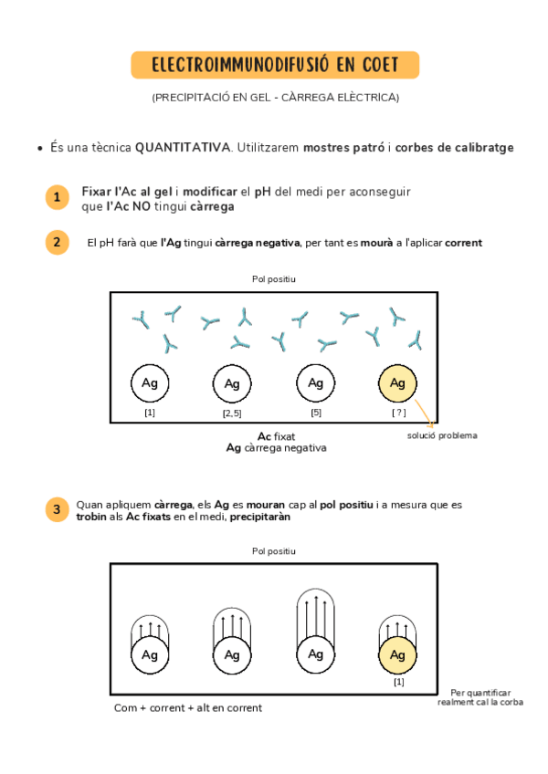 Miniatura del documento ELECTROIMMUNODIFUSIO-EN-COET.pdf