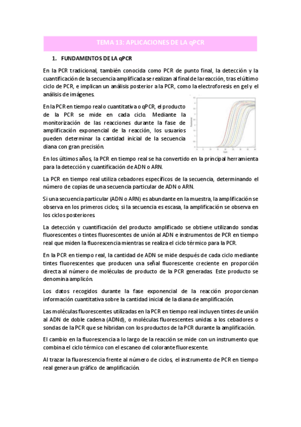 Miniatura del documento TEMA-13.pdf