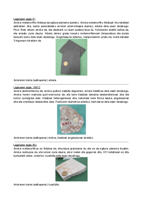 Miniatura del documento Arrokak-bereizten-eta-deskribatzen.pdf