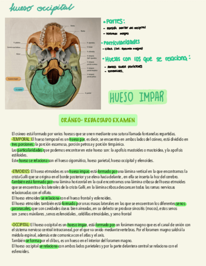 Miniatura del documento Craneo-redactado-.pdf