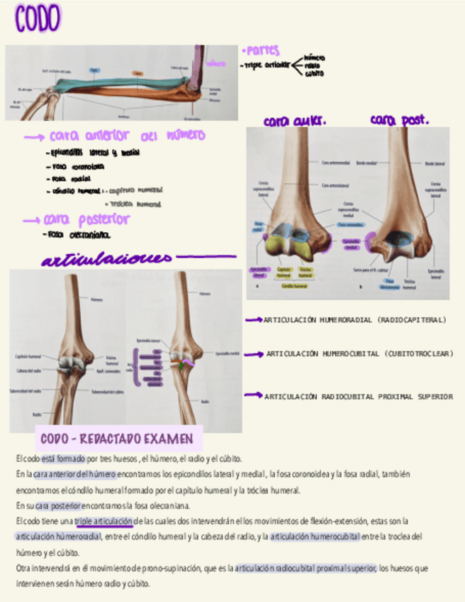 Miniatura del documento Codo-esquema-y-redactado-.pdf