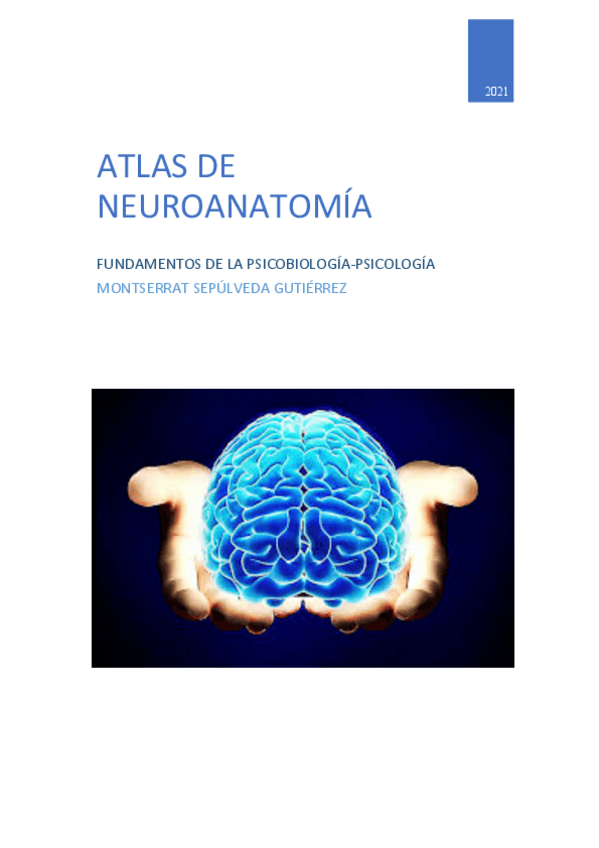 Miniatura del documento ATLAS.pdf