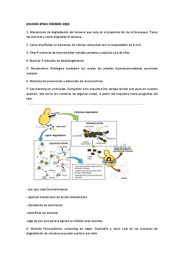 Miniatura del documento Febrero-2018.pdf