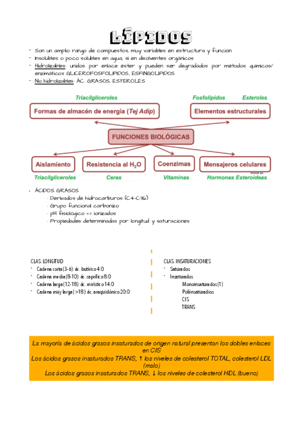 Miniatura del documento TEMA 8