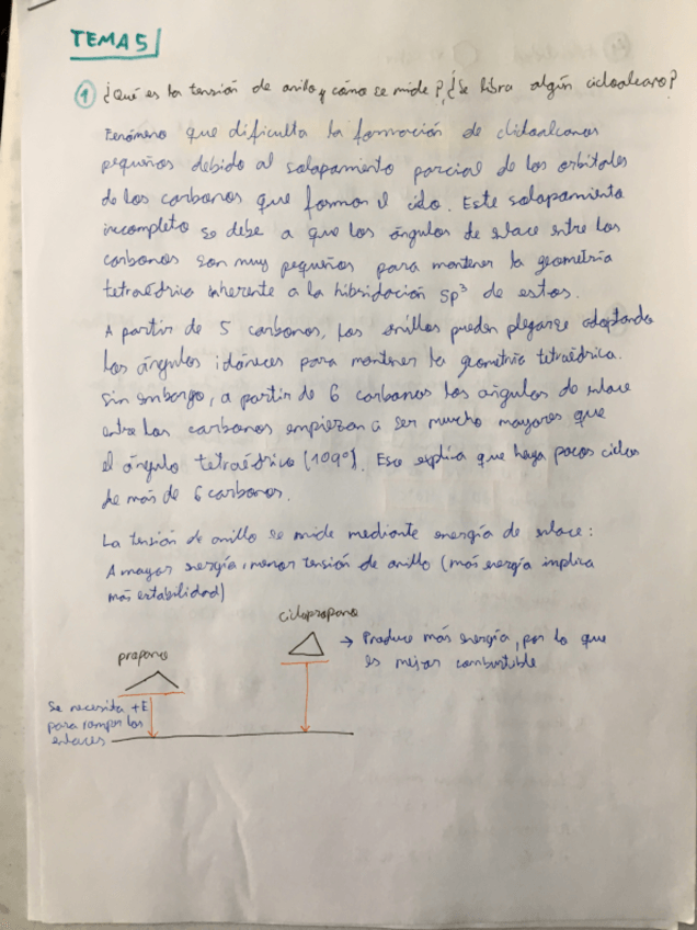 Miniatura del documento Orgánica T5.pdf