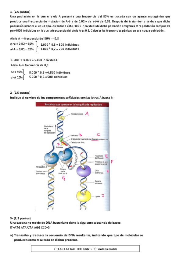 Miniatura del documento EXAMEN-1o-PARCIAL-GENETICA.pdf