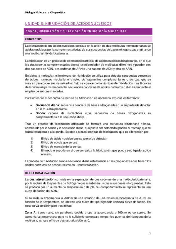 Miniatura del documento Hibridacion.pdf