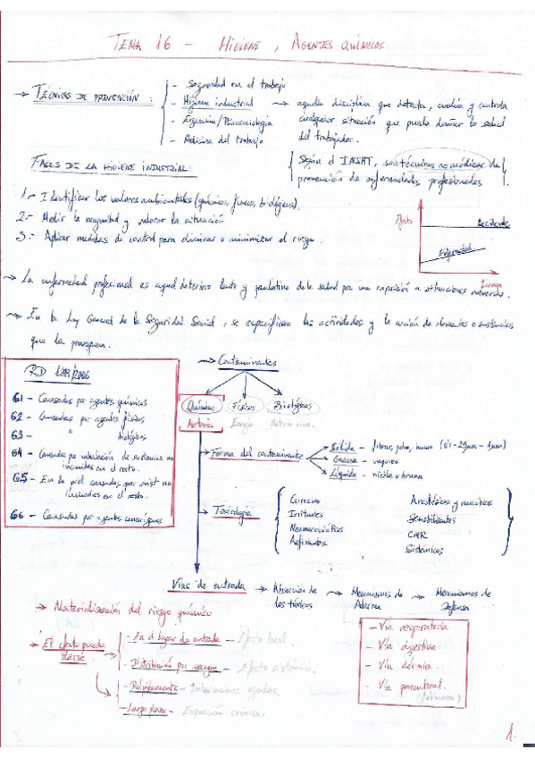 Miniatura del documento CONCEPTOS T16 - HIGIENE.pdf