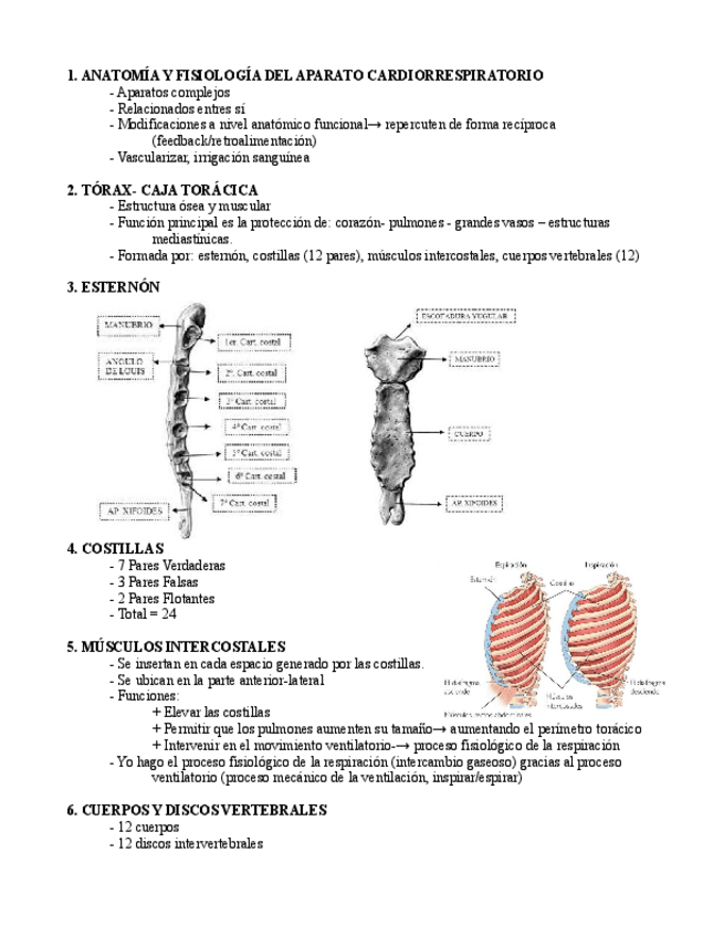 Miniatura del documento UD4-Aparato-Cardiorrespiratorio.pdf