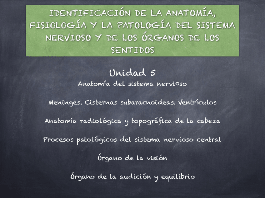 Miniatura del documento UD-5-Sistema-Nervioso.pdf