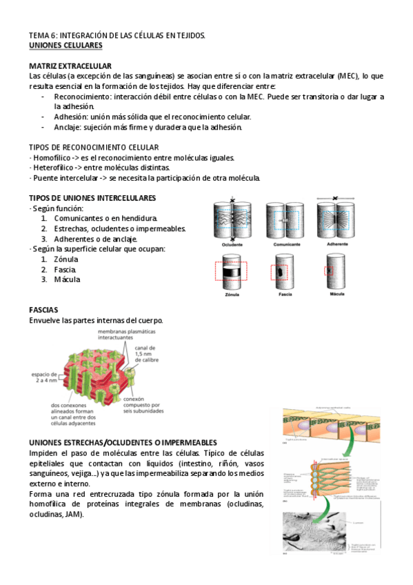 Miniatura del documento tema-6-bc.pdf