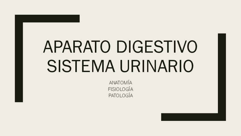 Miniatura del documento UD6-Digestivo.pdf