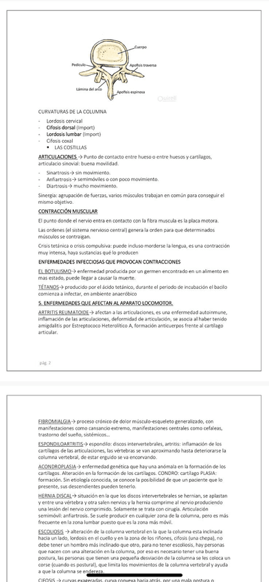 Miniatura del documento IMG-20221121-WA0016.jpg