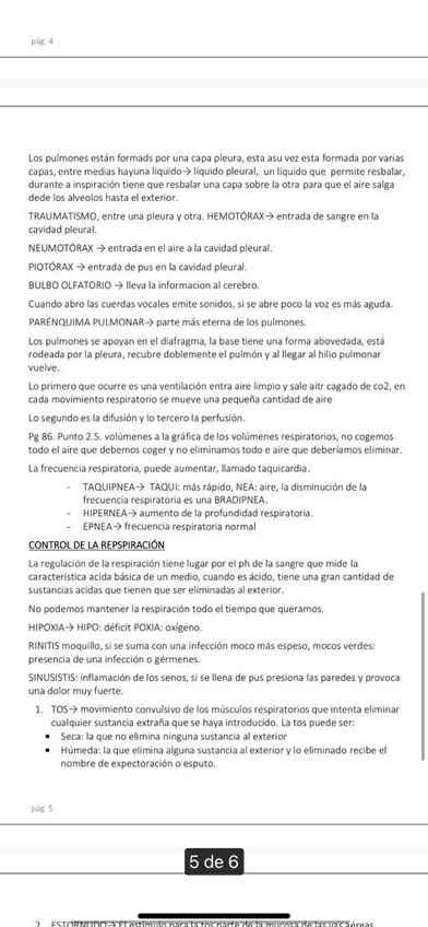 Miniatura del documento IMG-20221124-WA0032.jpg