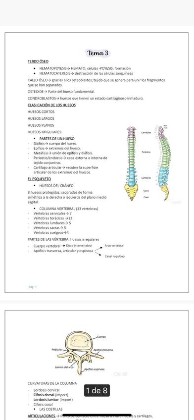 Miniatura del documento IMG-20221121-WA0014.jpg