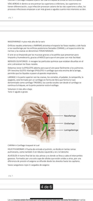 Miniatura del documento IMG-20221124-WA0033.jpg