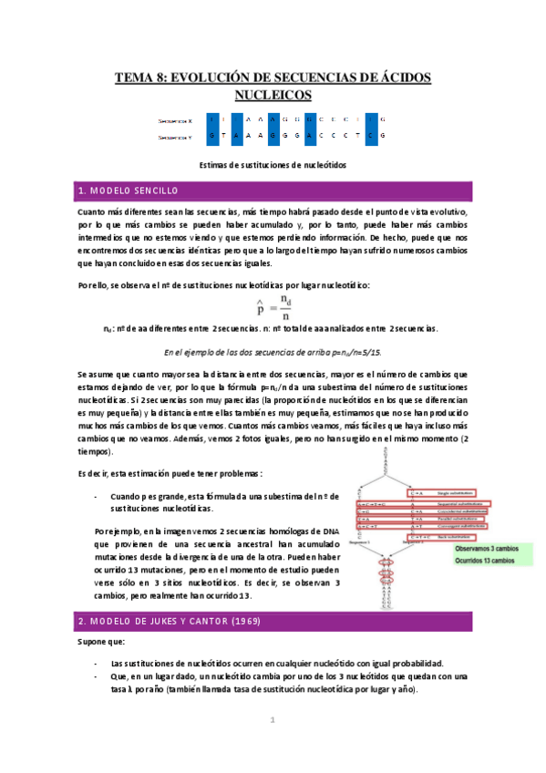 Miniatura del documento Tema-8-Evolucion-de-secuencias-de-acidos-nucleicos.pdf