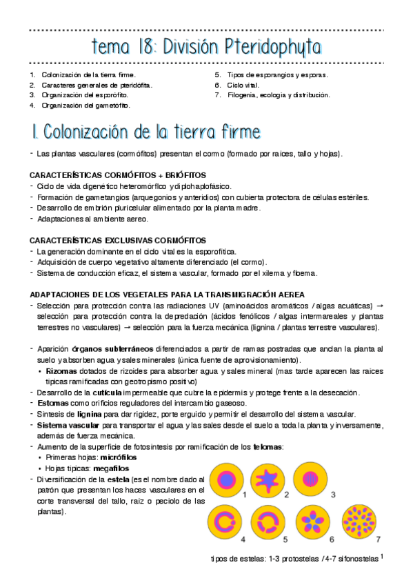 Miniatura del documento tema-18.pdf
