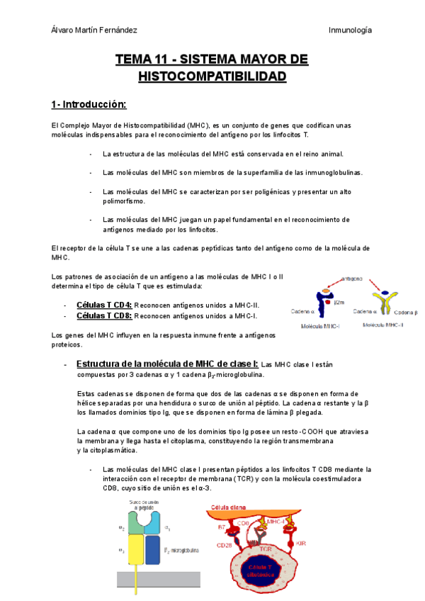 Miniatura del documento TEMA-11-SISTEMA-MAYOR-DE-HISTOCOMPATIBILIDAD.pdf