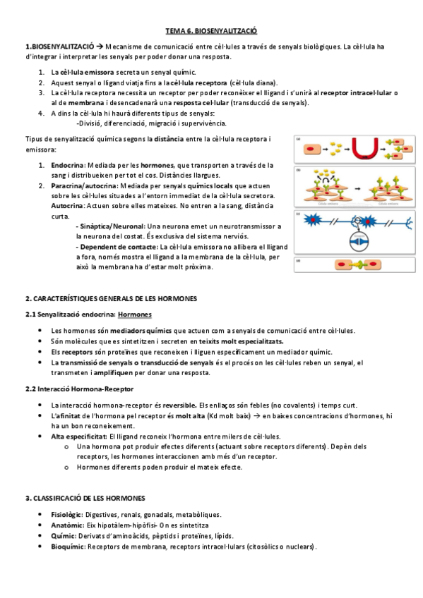 Miniatura del documento TEMA-6.pdf