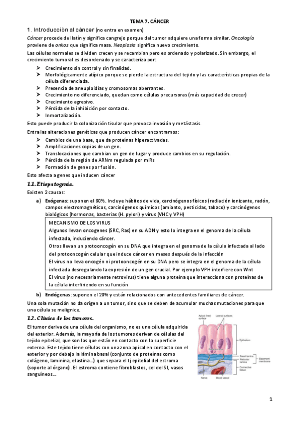 Miniatura del documento TEMA-7.pdf