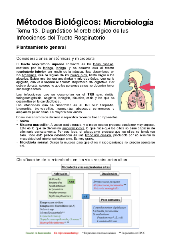 Miniatura del documento T.pdf
